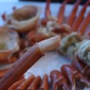 장사항홍게사랑 이미지