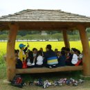 맹방유채꽃마을 이미지