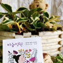 마음정원 이미지