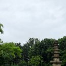 중앙1로 | 국중박 국립중앙박물관 상설전시관 주말 후기 주차장 추천