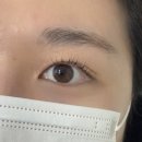 삼희약국 | 평촌속눈썹, 자연스러운 속눈썹펌 후기 더이로뷰티