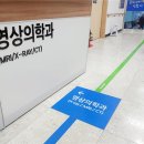 일산21세기병원 | 지인 추천으로 다녀온 일산21세기병원에서의 신경차단술 후기