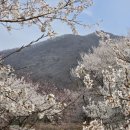 문동저수지 네이버블로그