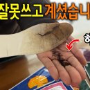 발핫팩 추천 이미지