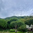 레스트44 이미지