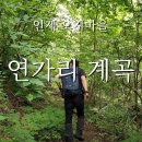 Re: 2023. 7. 8(토)[제134회 정기도보] 원시계곡 인제 연가리 계곡으로 초대 이미지