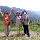 벽송식당 이미지