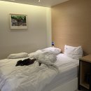 스페인무인텔 이미지