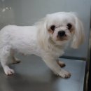 꽃바위어린이집 이미지