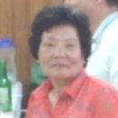 양월6리 Daum카페