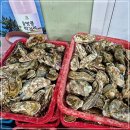 대교굴구이