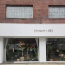 아이비공방 | 망원 한강공원 식물가게 프로젝트식물 초보 식집사 아이비 입양 후기