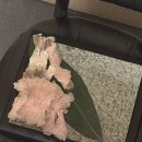 봉화당구장 | 순천 오로시 수산 조례동 하모 샤브샤브 먹고 온 그 후기는
