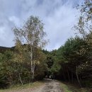 Re: 2025.10.18(토)~19(일) 국토횡단 도보여행 2일차 사진 이미지