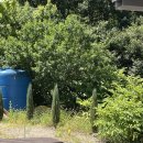 샬롬세탁소 | 소백산 비로봉 코스 바로 앞, 다리안계곡 옆에서 쉬어가기 좋은 샬롬펜션 07호 숙박 후기