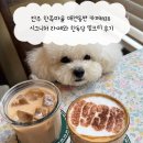 어울려 | 전주 한옥마을 애견동반 카페1938 시그니처 라떼와 한독당 밀크티 후기