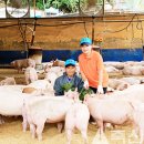 부경양돈협동조합 이미지