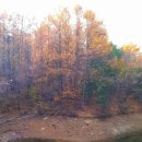 박공재저수지 이미지