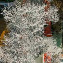 합천호회양관광단지 이미지