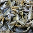 영심이네 이미지