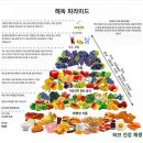 상추, 오이, 마 등 생야채 속의 미세미생충 이미지