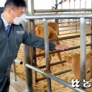 기조목장 이미지