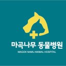 마곡나무 동물병원 이미지