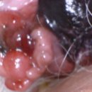 대소동물병원 이미지