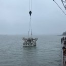 신안낚시터 이미지