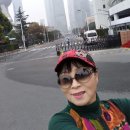 새영 이미지