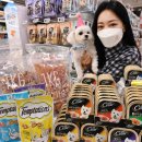 펫가든 동물병원 이미지