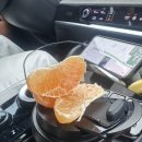 팔괴로2 | 영월 1박 2일 여행코스 1일차 | 단종코스 (장릉·관풍헌) 왕과사는남자