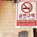 포가츠 - 김포시 | 서귀포돈까스 전문점 포가츠 방문 후기