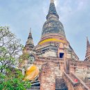 후선 농장 | 태국 방콕 여행 아유타야 선셋투어 추천 코스