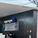 알레르기 결막염 눈 비비던 습관 없어진 후기