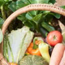 기숙농장 이미지