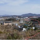 보삼로 Daum카페