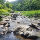 산성계곡 생태공원 내 이미지