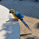 문화의 거리 이미지