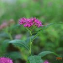 수리산역 이미지