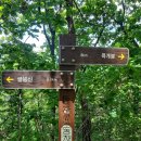 덕천분교 | 峰山行(강원춘천 굴봉산에서 강선봉까지 ; 2026-06-06)