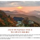 소망 한 자락 마음에 품고 다다른 곳 명승 남해 금산(南海 錦山) 이미지