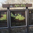 내동농장 티스토리