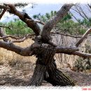 백운산가든 이미지