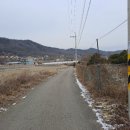 강화원공인중개사사무소 이미지