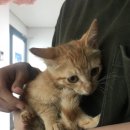 복덩이건강센터