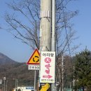 아리랑대반점