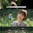 포레스트 이미지