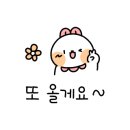 상현손세차장 이미지