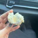 지금애월 | 제주 애월 시소 카이막 웨이팅 평일 후기